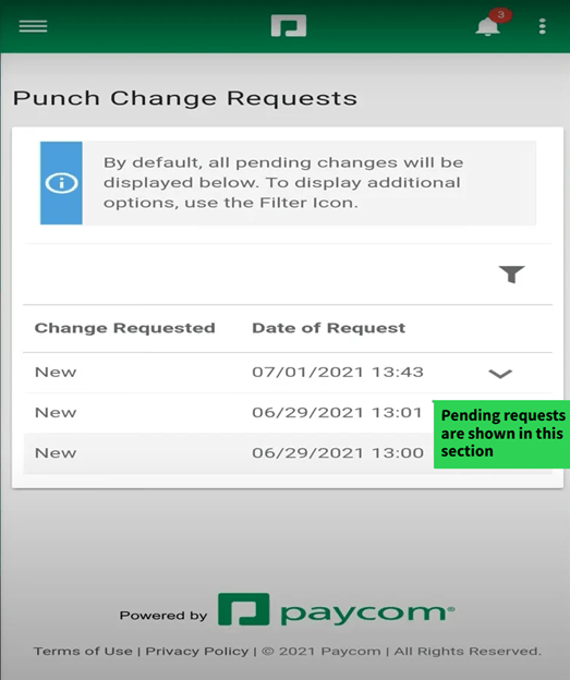 Punch Change Requests