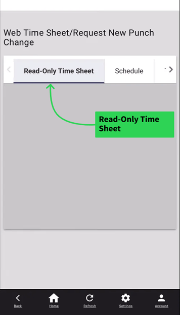 Read-Only Time Sheet