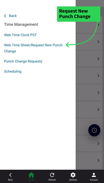 Request New Punch Change